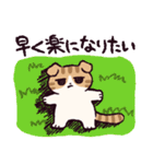 スコティッシュフォールドです 2（個別スタンプ：15）