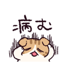 スコティッシュフォールドです 2（個別スタンプ：16）