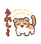 スコティッシュフォールドです 2（個別スタンプ：20）