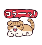 スコティッシュフォールドです 2（個別スタンプ：22）