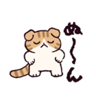 スコティッシュフォールドです 2（個別スタンプ：23）