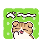 スコティッシュフォールドです 2（個別スタンプ：24）