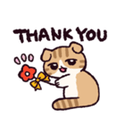 スコティッシュフォールドです 2（個別スタンプ：25）