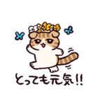 スコティッシュフォールドです 2（個別スタンプ：26）