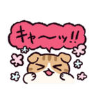 スコティッシュフォールドです 2（個別スタンプ：27）