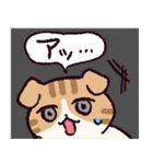 スコティッシュフォールドです 2（個別スタンプ：29）