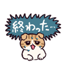スコティッシュフォールドです 2（個別スタンプ：31）