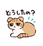 スコティッシュフォールドです 2（個別スタンプ：33）