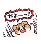 スコティッシュフォールドです 2（個別スタンプ：37）