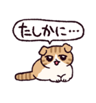 スコティッシュフォールドです 2（個別スタンプ：39）