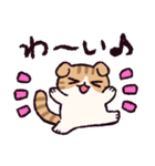 スコティッシュフォールドです 2（個別スタンプ：40）