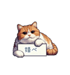 強気な猫【ネコ、かわいい、面白い】（個別スタンプ：1）