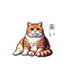 強気な猫【ネコ、かわいい、面白い】（個別スタンプ：2）