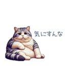 強気な猫【ネコ、かわいい、面白い】（個別スタンプ：3）