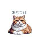 強気な猫【ネコ、かわいい、面白い】（個別スタンプ：4）