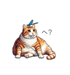 強気な猫【ネコ、かわいい、面白い】（個別スタンプ：5）