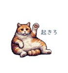 強気な猫【ネコ、かわいい、面白い】（個別スタンプ：7）