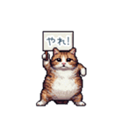 強気な猫【ネコ、かわいい、面白い】（個別スタンプ：8）