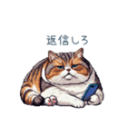 強気な猫【ネコ、かわいい、面白い】（個別スタンプ：9）