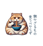 強気な猫【ネコ、かわいい、面白い】（個別スタンプ：10）