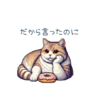強気な猫【ネコ、かわいい、面白い】（個別スタンプ：11）