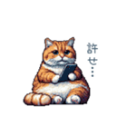 強気な猫【ネコ、かわいい、面白い】（個別スタンプ：12）