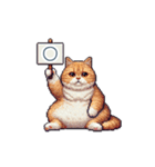 強気な猫【ネコ、かわいい、面白い】（個別スタンプ：13）