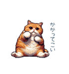 強気な猫【ネコ、かわいい、面白い】（個別スタンプ：14）