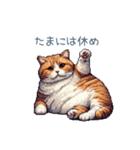 強気な猫【ネコ、かわいい、面白い】（個別スタンプ：18）