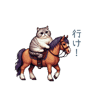 強気な猫【ネコ、かわいい、面白い】（個別スタンプ：21）