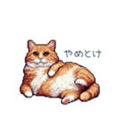 強気な猫【ネコ、かわいい、面白い】（個別スタンプ：22）
