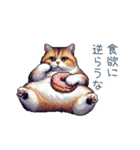 強気な猫【ネコ、かわいい、面白い】（個別スタンプ：26）