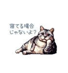 強気な猫【ネコ、かわいい、面白い】（個別スタンプ：27）