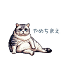 強気な猫【ネコ、かわいい、面白い】（個別スタンプ：28）