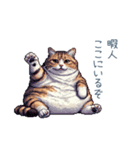 強気な猫【ネコ、かわいい、面白い】（個別スタンプ：30）