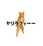 踊る！横揺れ界隈/にゃんこ/猫/ねこ/ネコ（個別スタンプ：4）