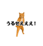 踊る！横揺れ界隈/にゃんこ/猫/ねこ/ネコ（個別スタンプ：9）
