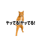踊る！横揺れ界隈/にゃんこ/猫/ねこ/ネコ（個別スタンプ：10）