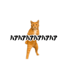 踊る！横揺れ界隈/にゃんこ/猫/ねこ/ネコ（個別スタンプ：11）
