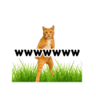 踊る！横揺れ界隈/にゃんこ/猫/ねこ/ネコ（個別スタンプ：12）