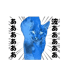 踊る！横揺れ界隈/にゃんこ/猫/ねこ/ネコ（個別スタンプ：13）