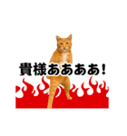 踊る！横揺れ界隈/にゃんこ/猫/ねこ/ネコ（個別スタンプ：18）