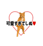 踊る！横揺れ界隈/にゃんこ/猫/ねこ/ネコ（個別スタンプ：20）
