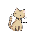 ネコパ（個別スタンプ：4）