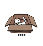 ネコパ（個別スタンプ：9）