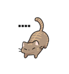 ネコパ（個別スタンプ：13）