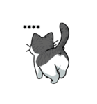 ネコパ（個別スタンプ：14）