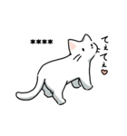 ネコパ（個別スタンプ：17）