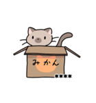 ネコパ（個別スタンプ：20）