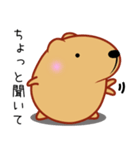 きゃぴばら【日常】（個別スタンプ：1）